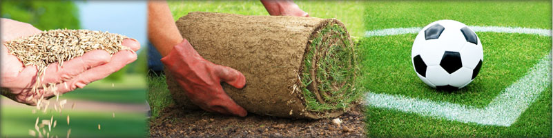 Turf Solutions